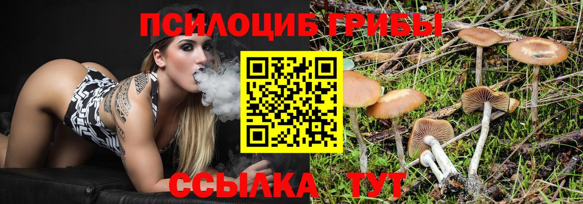 Галлюциногенные грибы Magic Shrooms Касимов