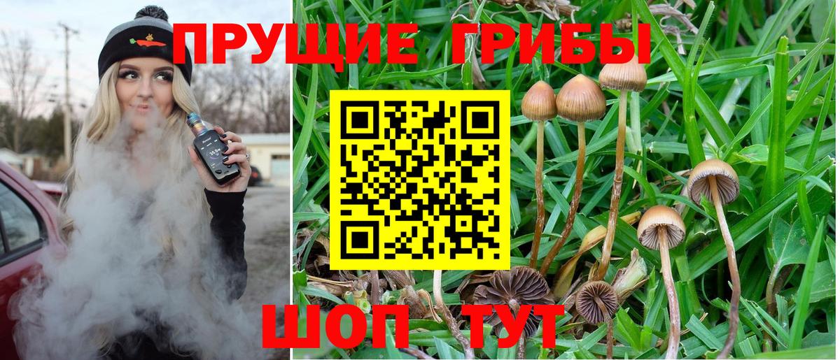 Псилоцибиновые грибы Magic Shrooms  Вход с VPN  Псилоцибиновые грибы Cubensis  Касимов 