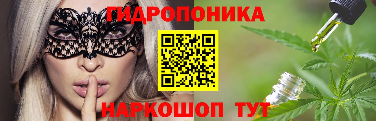 Шишки марихуана Amnesia  Вход с VPN  Шишки марихуана тримм  Касимов  Марихуана White Widow  Бошки марихуана семена 
